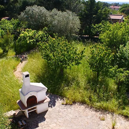 Belvedere * Impalata