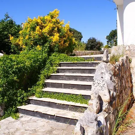 Belvedere