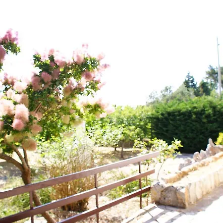 Villa Belvedere
