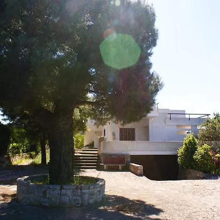 Belvedere Villa *